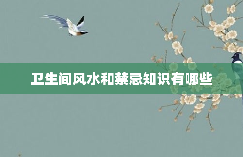 卫生间风水和禁忌知识有哪些