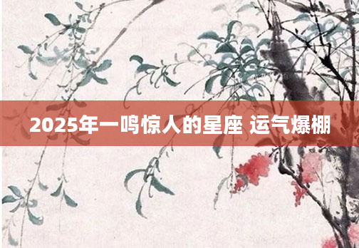 2025年一鸣惊人的星座 运气爆棚
