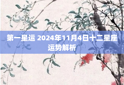 第一星运 2024年11月4日十二星座运势解析