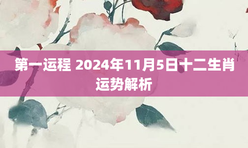 第一运程 2024年11月5日十二生肖运势解析