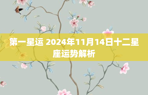 第一星运 2024年11月14日十二星座运势解析