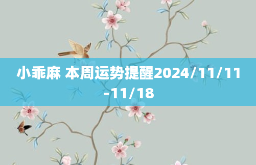 小乖麻 本周运势提醒2024/11/11-11/18