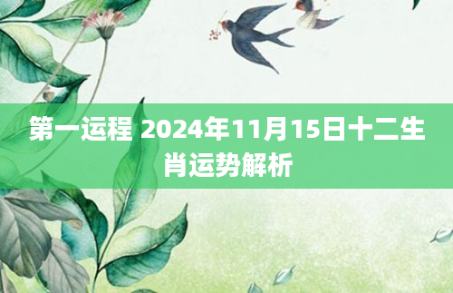 第一运程 2024年11月15日十二生肖运势解析