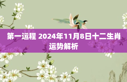 第一运程 2024年11月8日十二生肖运势解析