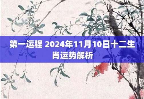 第一运程 2024年11月10日十二生肖运势解析