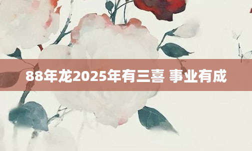 88年龙2025年有三喜 事业有成