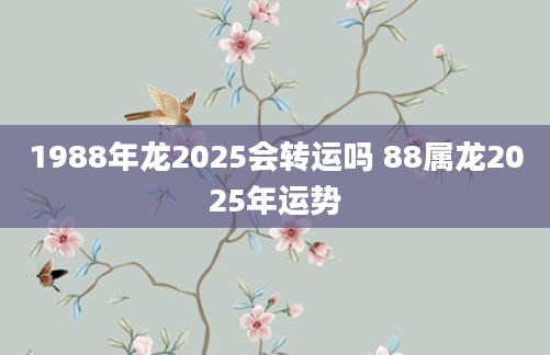 1988年龙2025会转运吗 88属龙2025年运势