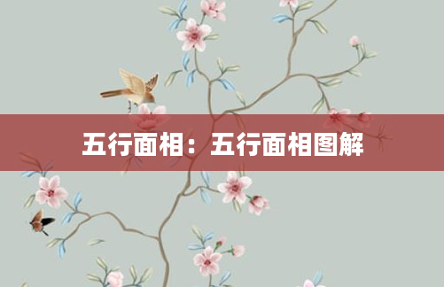 五行面相：五行面相图解