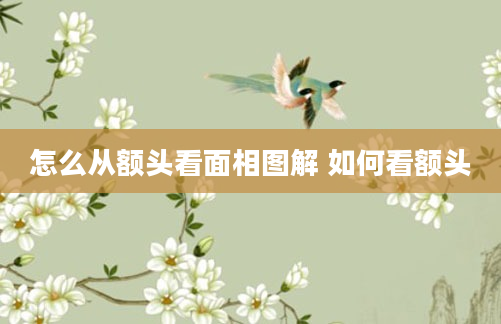 怎么从额头看面相图解 如何看额头