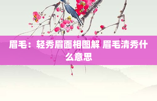 眉毛：轻秀眉面相图解 眉毛清秀什么意思