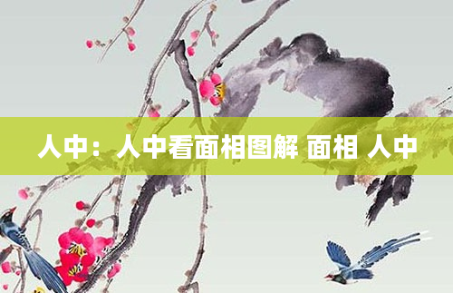 人中：人中看面相图解 面相 人中