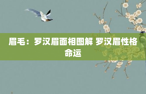 眉毛：罗汉眉面相图解 罗汉眉性格命运