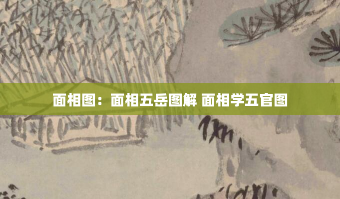 面相图：面相五岳图解 面相学五官图