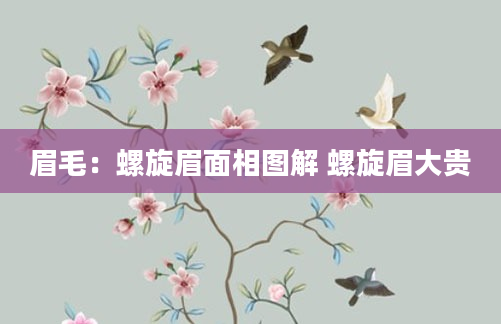 眉毛：螺旋眉面相图解 螺旋眉大贵