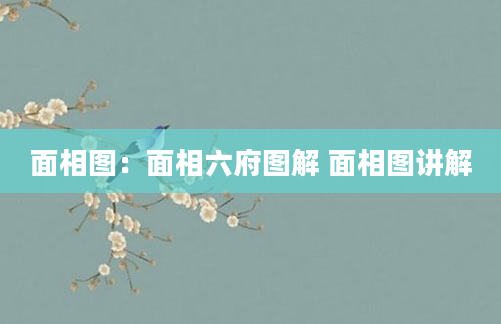 面相图：面相六府图解 面相图讲解