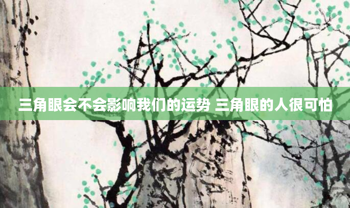 三角眼会不会影响我们的运势 三角眼的人很可怕