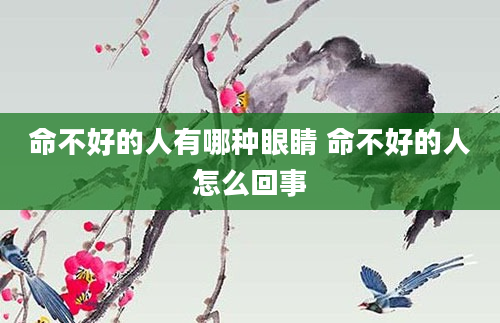 命不好的人有哪种眼睛 命不好的人怎么回事