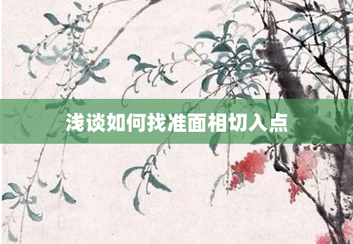 浅谈如何找准面相切入点