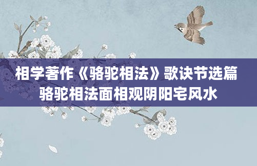 相学著作《骆驼相法》歌诀节选篇 骆驼相法面相观阴阳宅风水