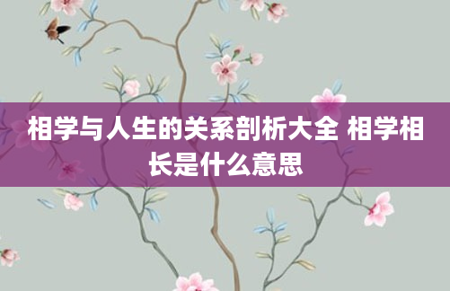 相学与人生的关系剖析大全 相学相长是什么意思