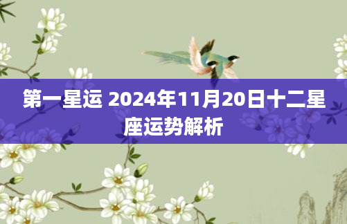 第一星运 2024年11月20日十二星座运势解析
