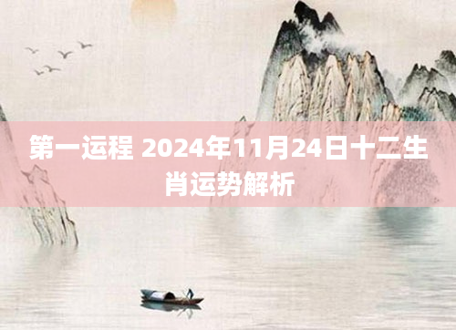 第一运程 2024年11月24日十二生肖运势解析