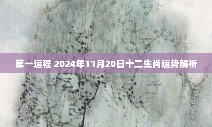 第一运程 2024年11月20日十二生肖运势解析