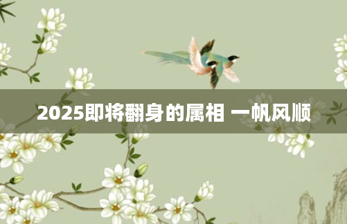 2025即将翻身的属相 一帆风顺
