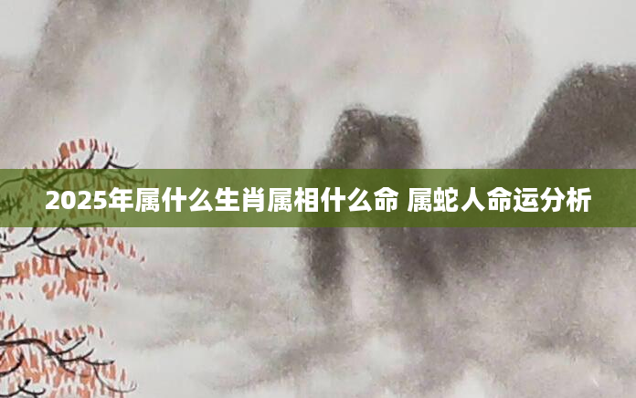 2025年属什么生肖属相什么命 属蛇人命运分析