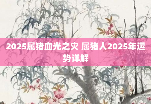 2025属猪血光之灾 属猪人2025年运势详解