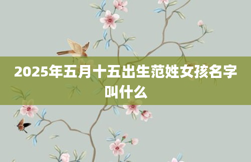 2025年五月十五出生范姓女孩名字叫什么