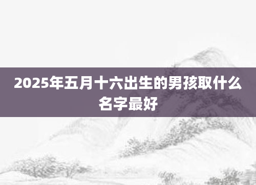 2025年五月十六出生的男孩取什么名字最好