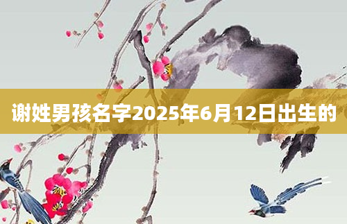 谢姓男孩名字2025年6月12日出生的