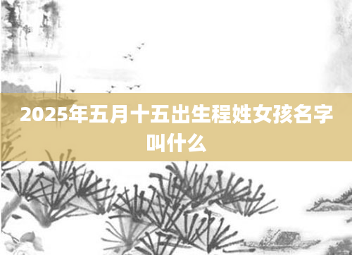 2025年五月十五出生程姓女孩名字叫什么