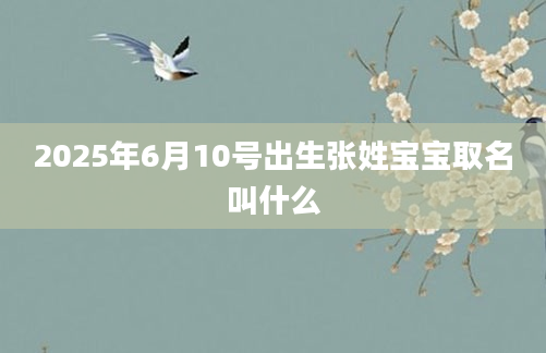 2025年6月10号出生张姓宝宝取名叫什么