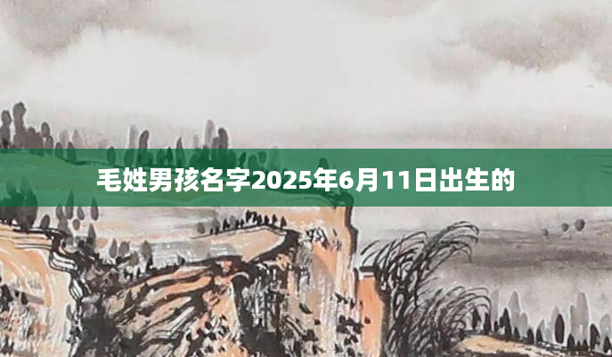 毛姓男孩名字2025年6月11日出生的