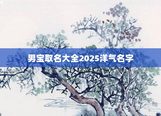 男宝取名大全2025洋气名字