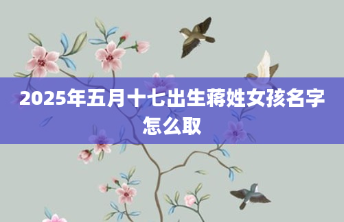 2025年五月十七出生蒋姓女孩名字怎么取