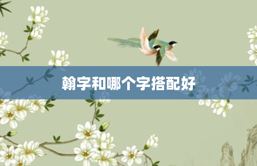 翰字和哪个字搭配好