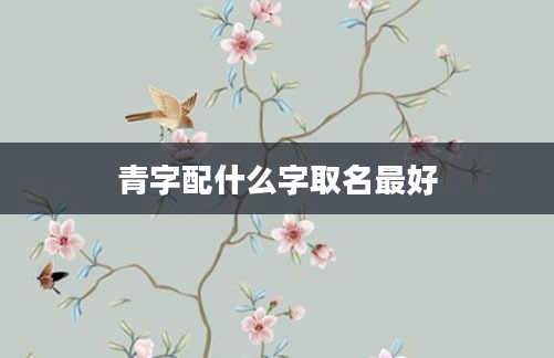 青字配什么字取名最好