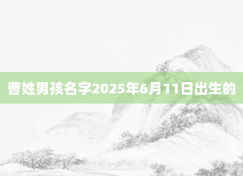 曹姓男孩名字2025年6月11日出生的