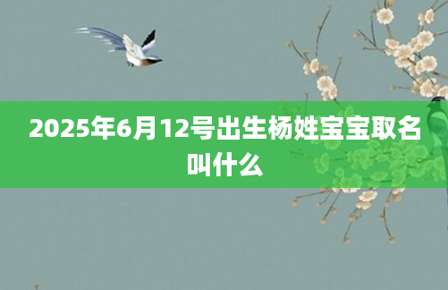 2025年6月12号出生杨姓宝宝取名叫什么