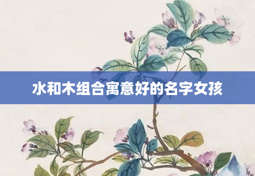 水和木组合寓意好的名字女孩