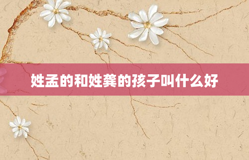 姓孟的和姓龚的孩子叫什么好
