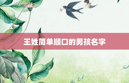 王姓简单顺口的男孩名字