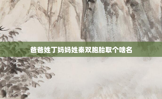 爸爸姓丁妈妈姓秦双胞胎取个啥名