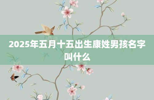 2025年五月十五出生康姓男孩名字叫什么