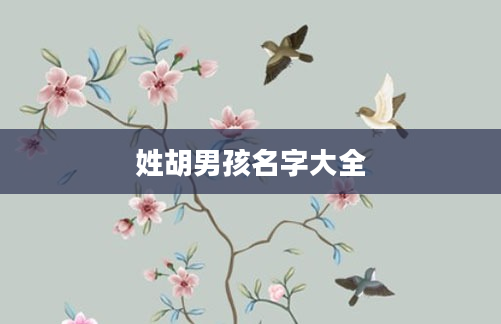 姓胡男孩名字大全