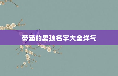 带涵的男孩名字大全洋气