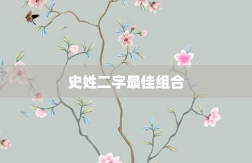史姓二字最佳组合